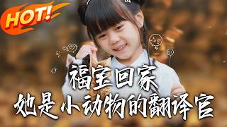 福宝回家，她是小动物的翻译官