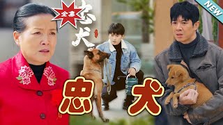 忠犬終章：逆襲之路