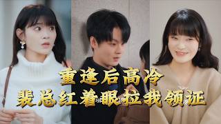 重逢后高冷裴总红着眼拉我领证