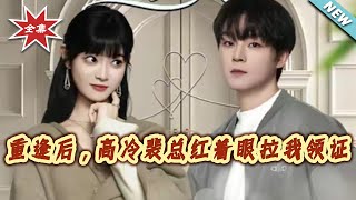 重逢后，高冷裴总红着眼拉我领证