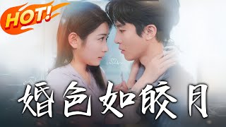 婚色如皎月