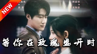 等你在玫瑰盛開時