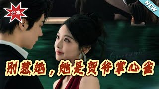 别惹她，她是贺爷掌心雀