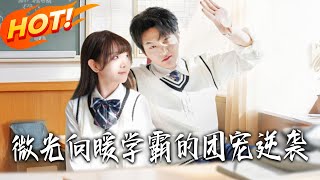 微光向暖学霸的团宠逆袭