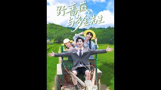 野薔薇與多金先生