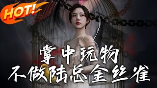 掌中玩物不做陸縂金絲雀