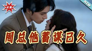 Mr. Zhou's Long-Planned Scheme