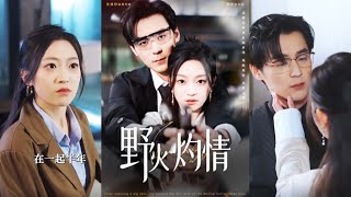 野火灼情：重燃希望的逆襲