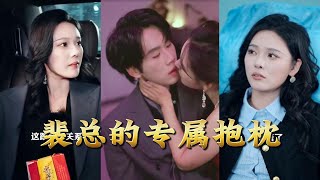 President Pei's Exclusive Pillow