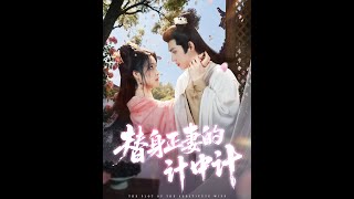 替身正妻的计中计