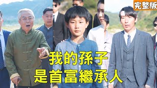 我的孙子是首富继承人