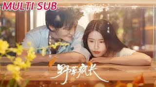 Wild Grass Flourishes