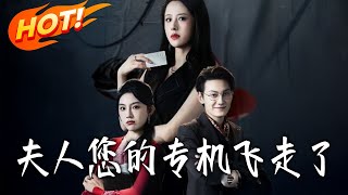 夫人您的專機飛走了