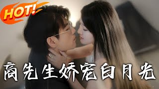 商先生娇宠白月光