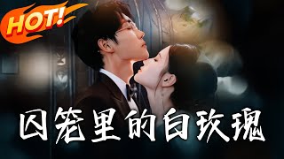 囚籠裡的白玫瑰