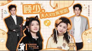 Mrs. Gu Is Demolishing the House Again