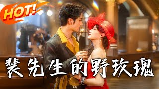 裴先生的野玫瑰