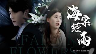 Begonia in Rain: The Switched Heiress's Divorce Dilemma