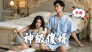 神級傻婿