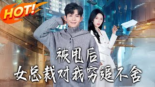 After Being Dumped, the Female CEO Chases Me Relentlessly