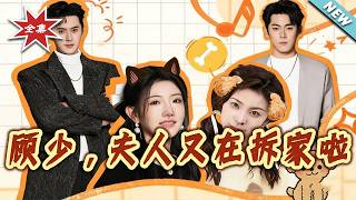 Mr. Gu, Your Wife Is "Demolishing" the House Again!