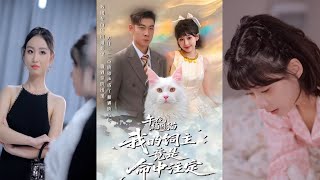 Midnight Maine Coon: My Owner Is My Fated Love