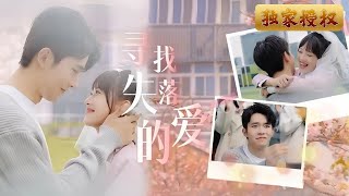 尋找失落的愛