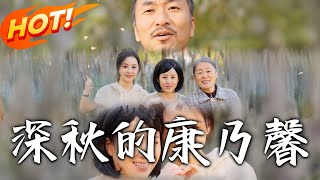 深秋的康乃馨