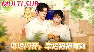 Bad Luck Begone, Lucky Cat Arrives