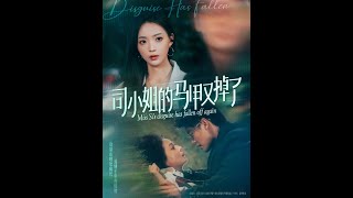 司小姐的馬甲又掉了