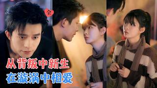 Return from Hibernation: Revenge and the North City Tycoon's Enigma