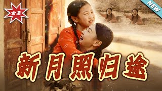 新月照归途