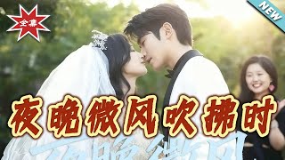 夜晚微風吹拂時