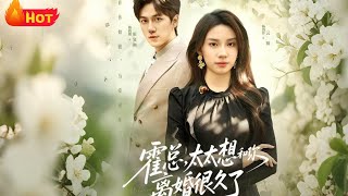 霍总，太太想和你离婚很久了