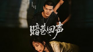 Echoes in the Dark Alley