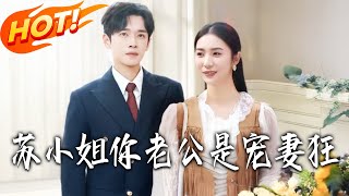 苏小姐你老公是宠妻狂