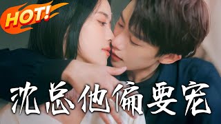 沈总他偏要宠