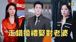 On the Day My Girlfriend Ran Away, I Married the Trillionaire Next Door