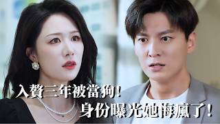 《Three Years as a Son-in-law: Betrayal and Truth》