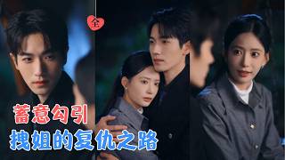 The Real Heiress as Black Swan: Counterattack the Wen Family