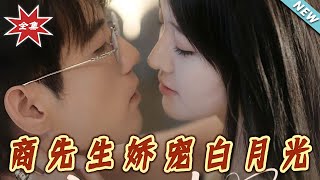 商先生娇宠白月光