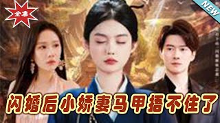 閃婚後小嬌妻馬甲曝光