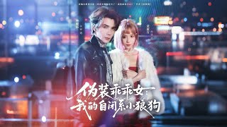 Pretending to Be a Good Girl: My Introverted Little Wolf Dog