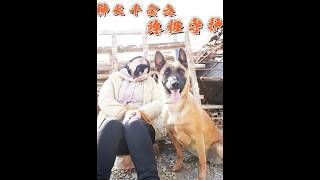 神犬千金之终级守护