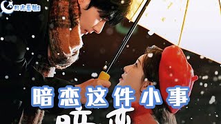 暗戀這件小事：溫紓與周景肆的愛情之謎