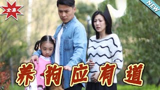 養狗應有道：都市逆襲之路