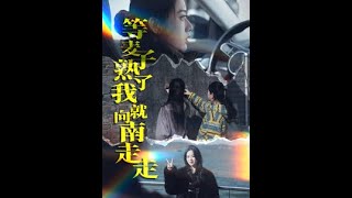 等麥子熟了我就曏南走走【短劇郃集】