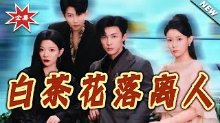 《白茶花落离人》