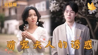 萌寵夫人的複仇