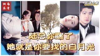 白月光的守護